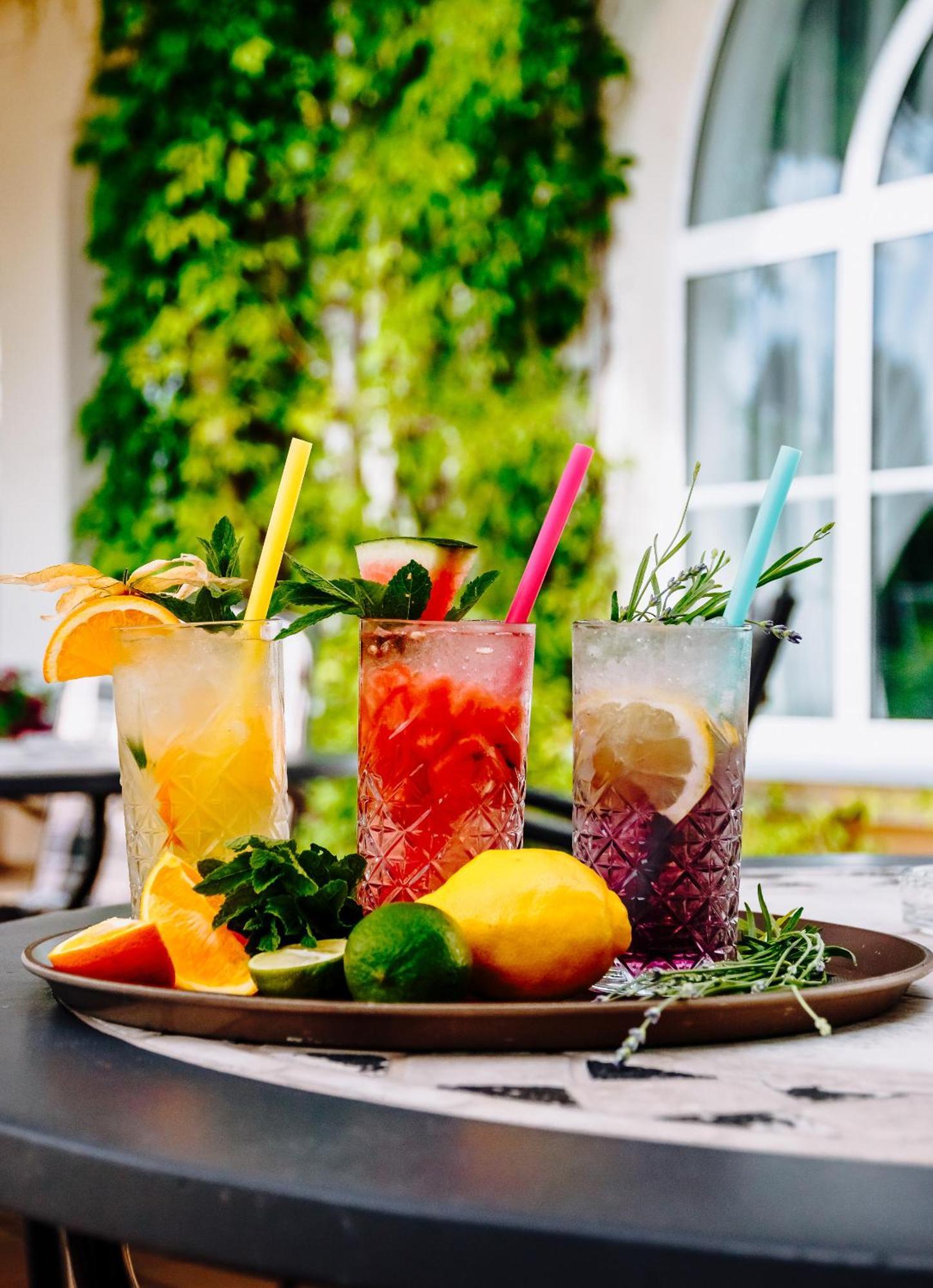 Dwor Dwikozy Hotell Exteriör bild